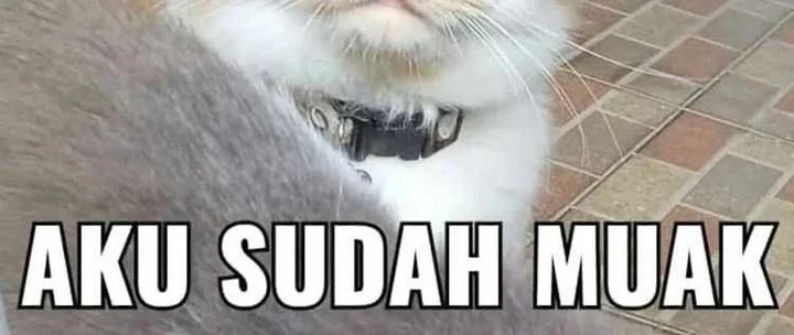 Halaman 264