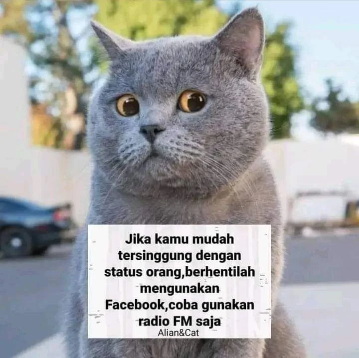 Halaman 165