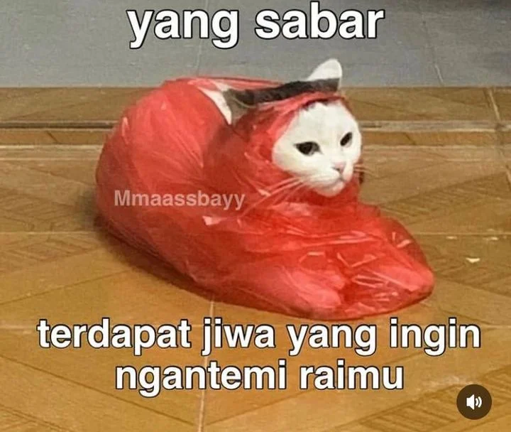 Halaman 137