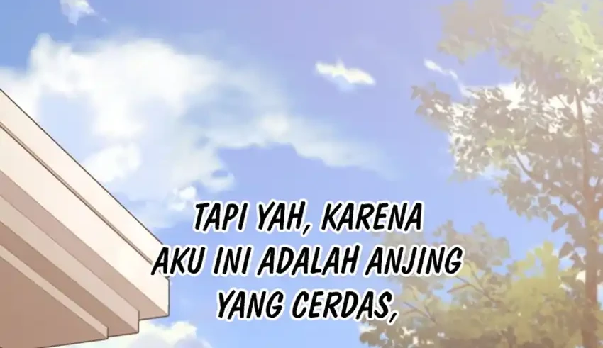 Halaman 209