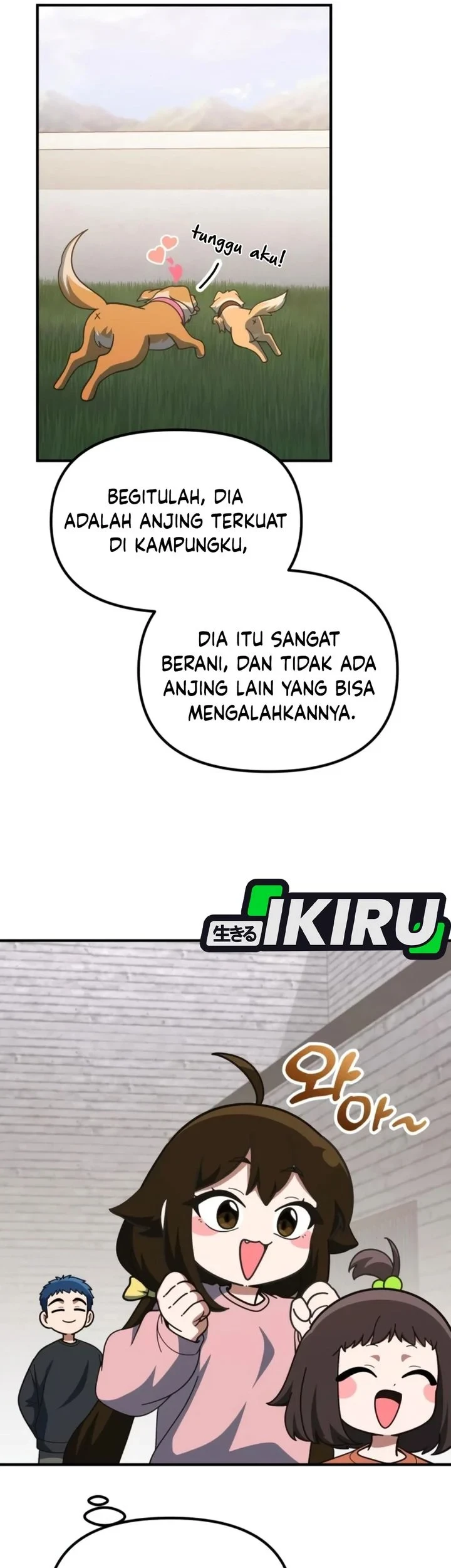 Halaman 51