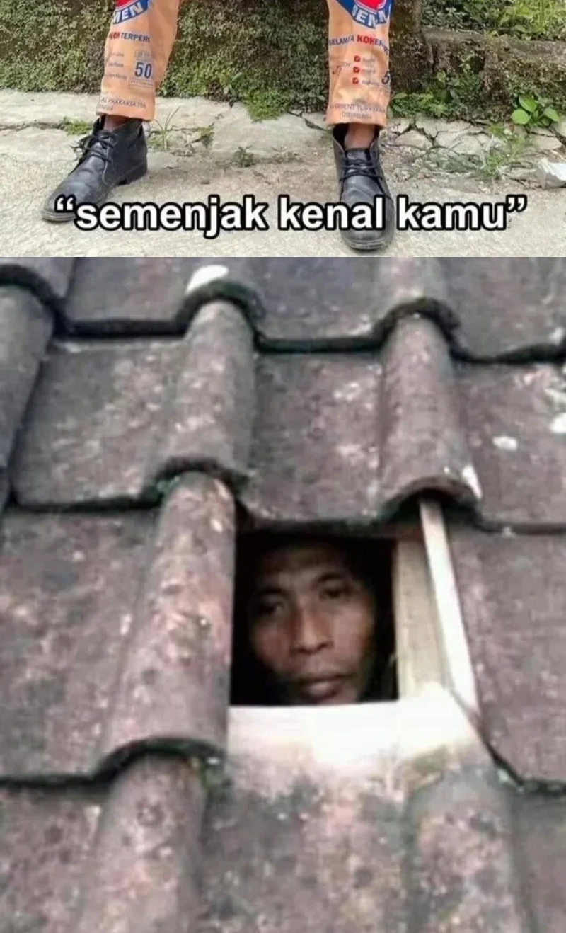 Halaman 101