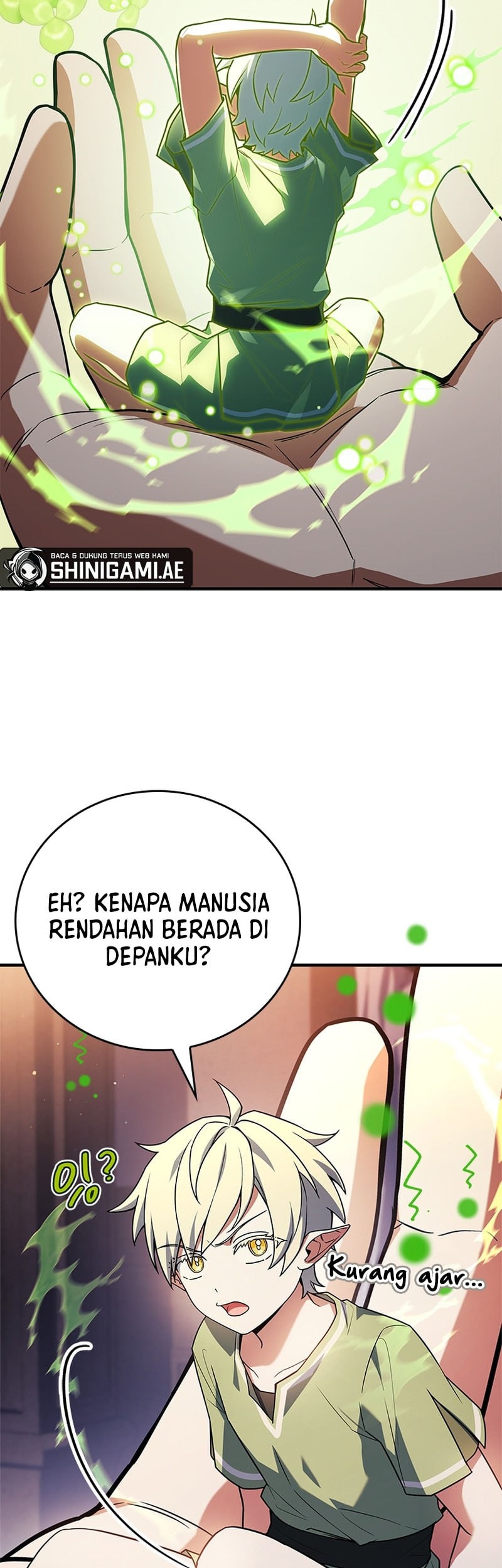 Halaman 217
