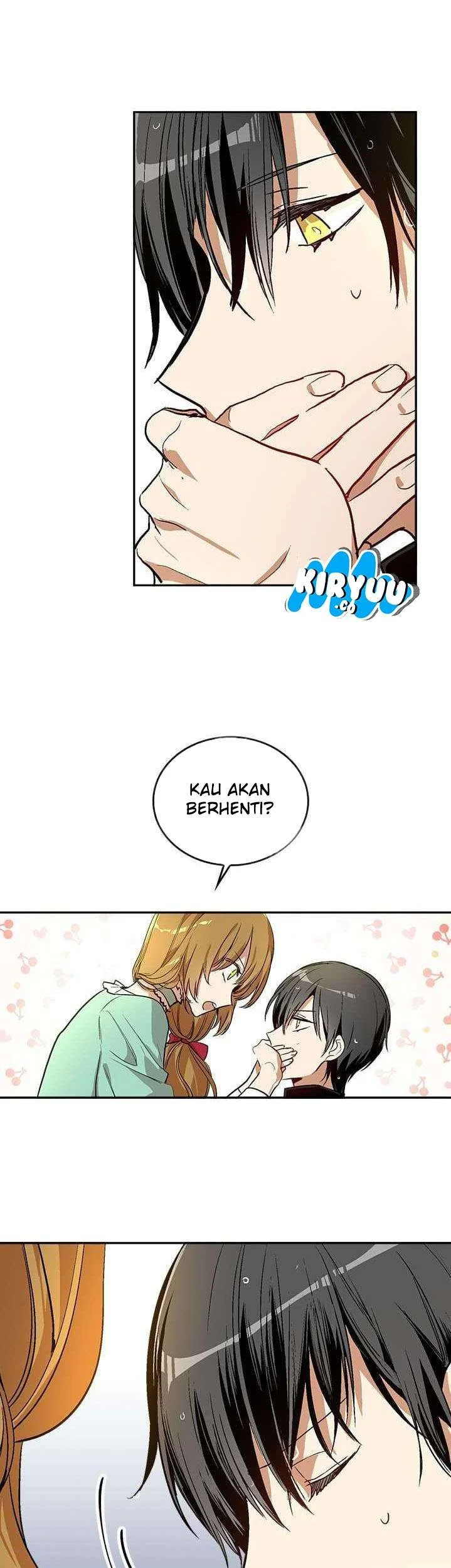 Halaman 17