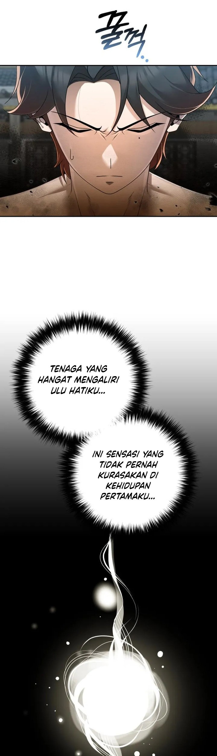 Halaman 223