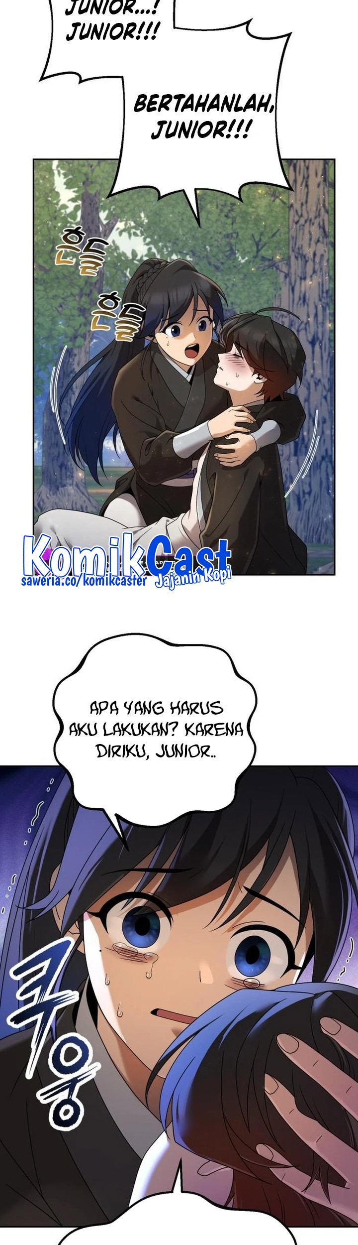 Halaman 43
