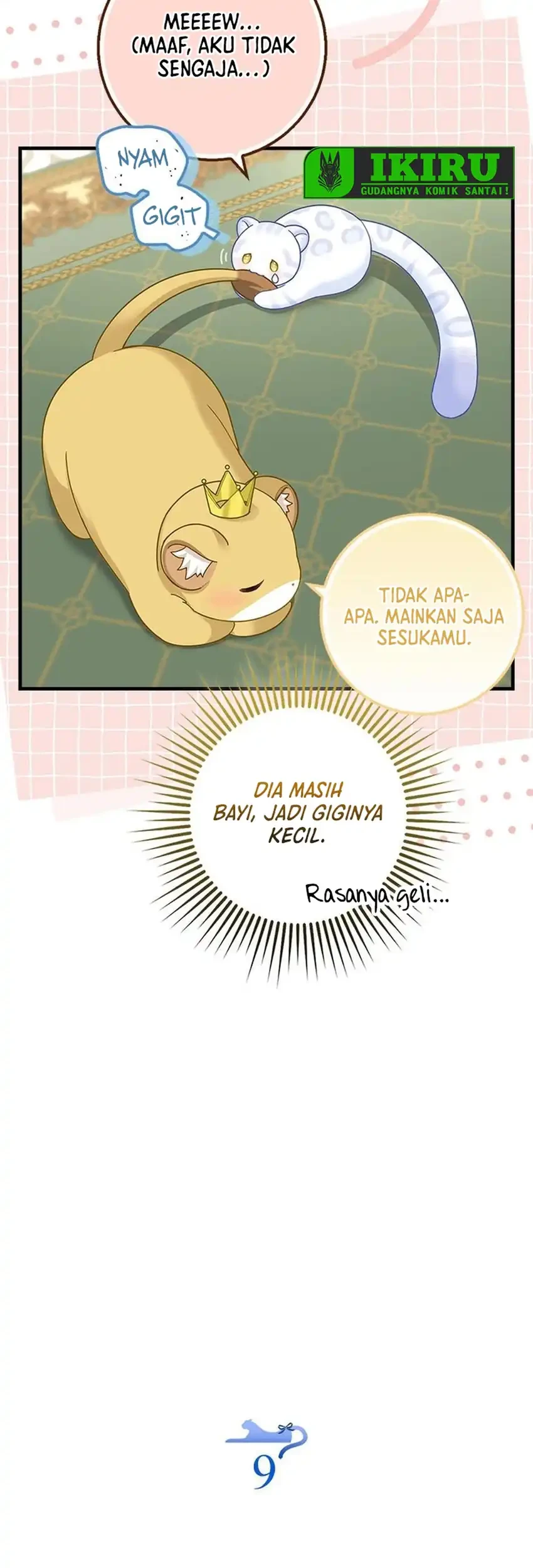 Halaman 9