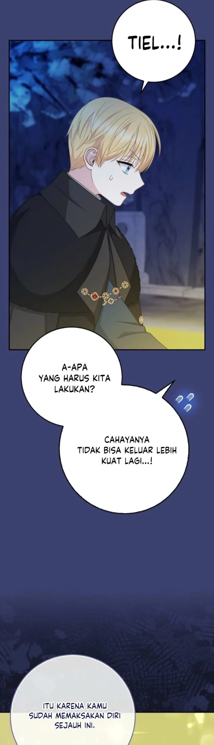 Halaman 217