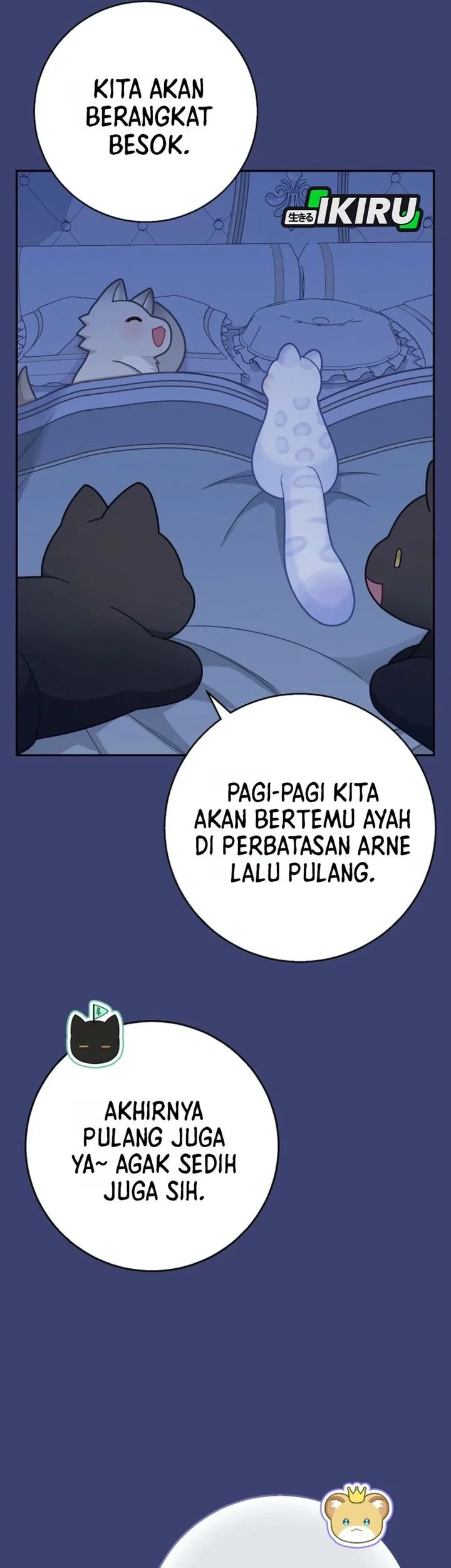 Halaman 146