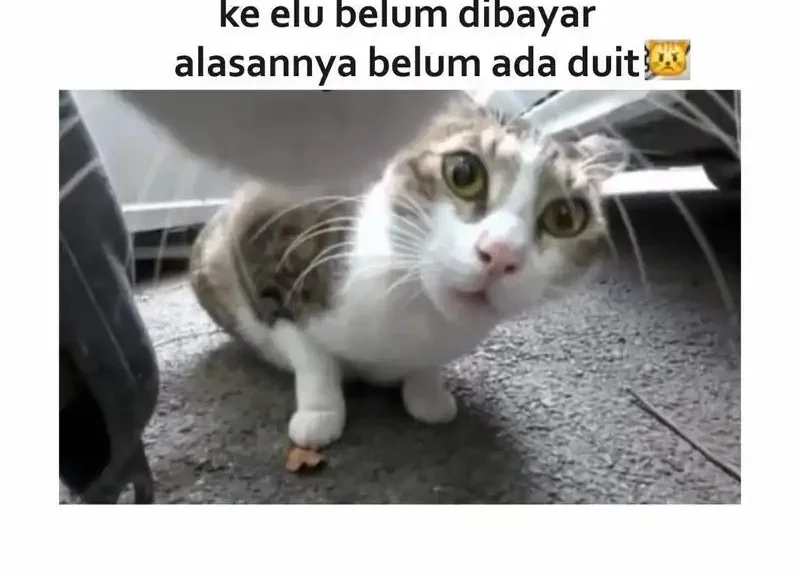Halaman 35