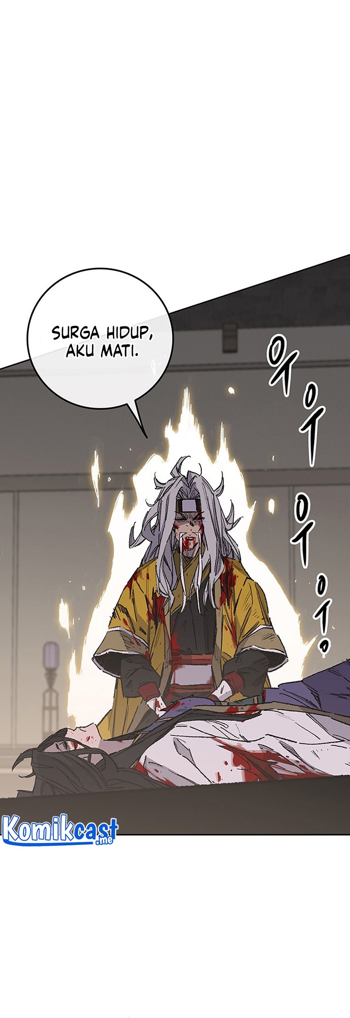 Halaman 43