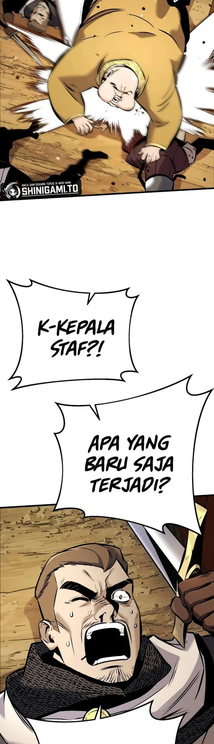 Halaman 255