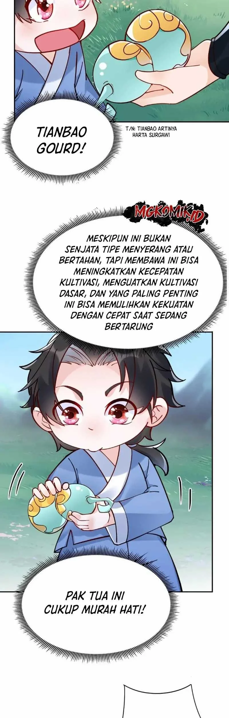 Halaman 17
