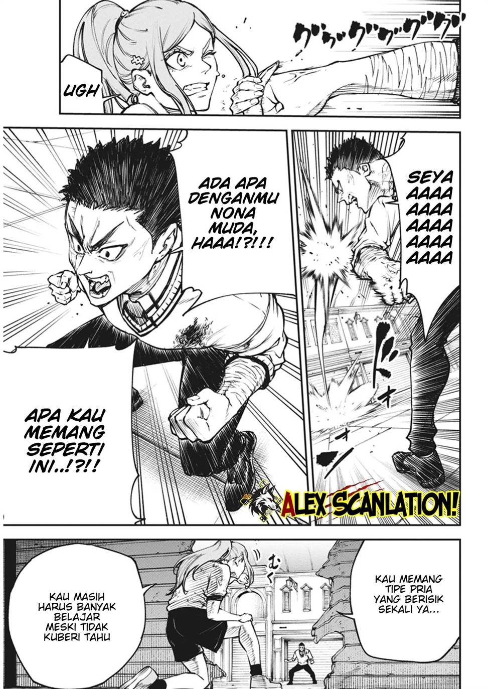Halaman 17