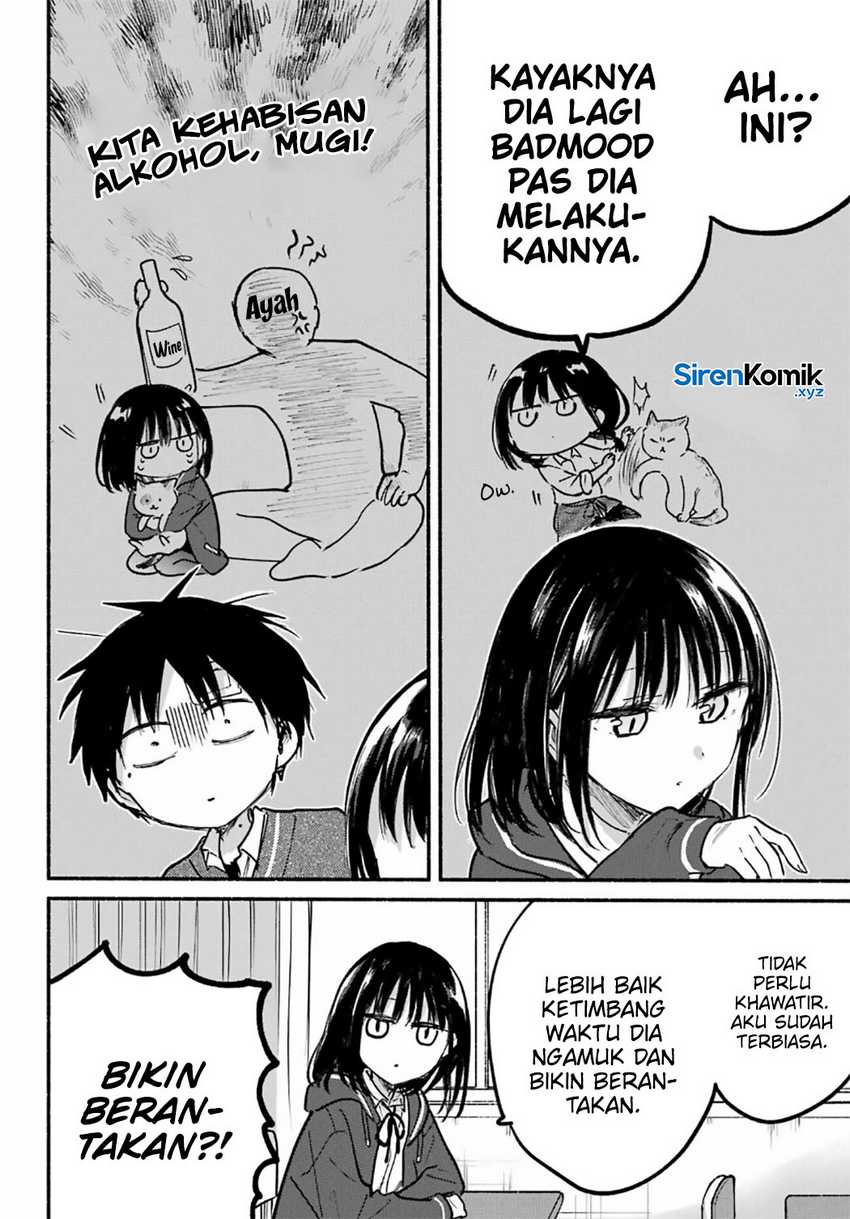 Halaman 17