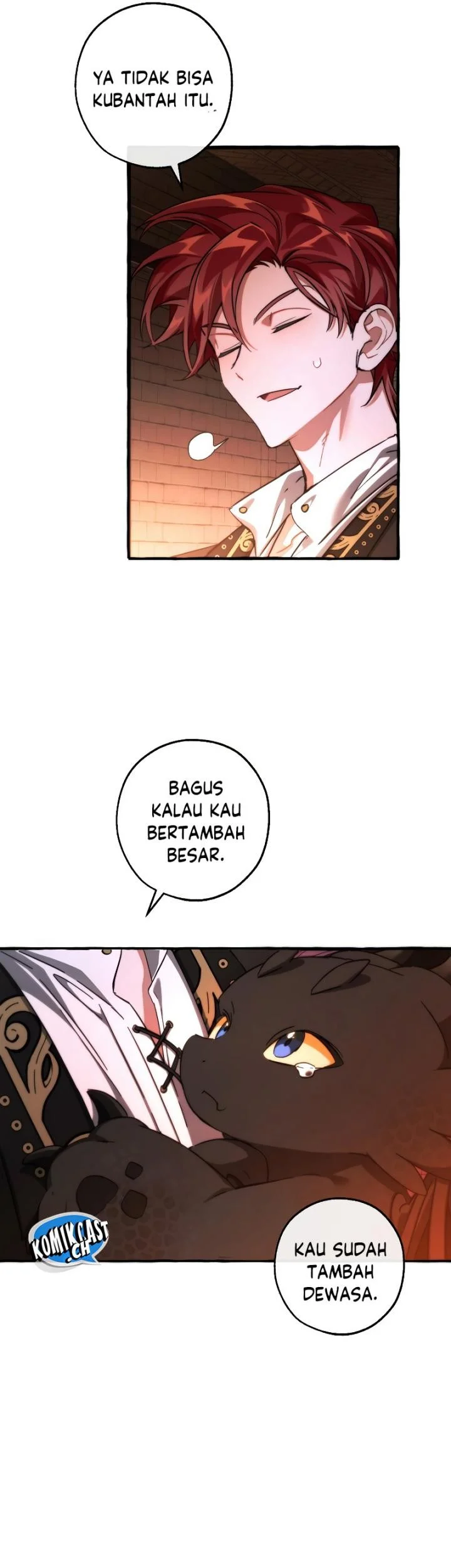 Halaman 43