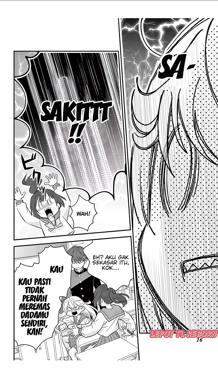 Halaman 17
