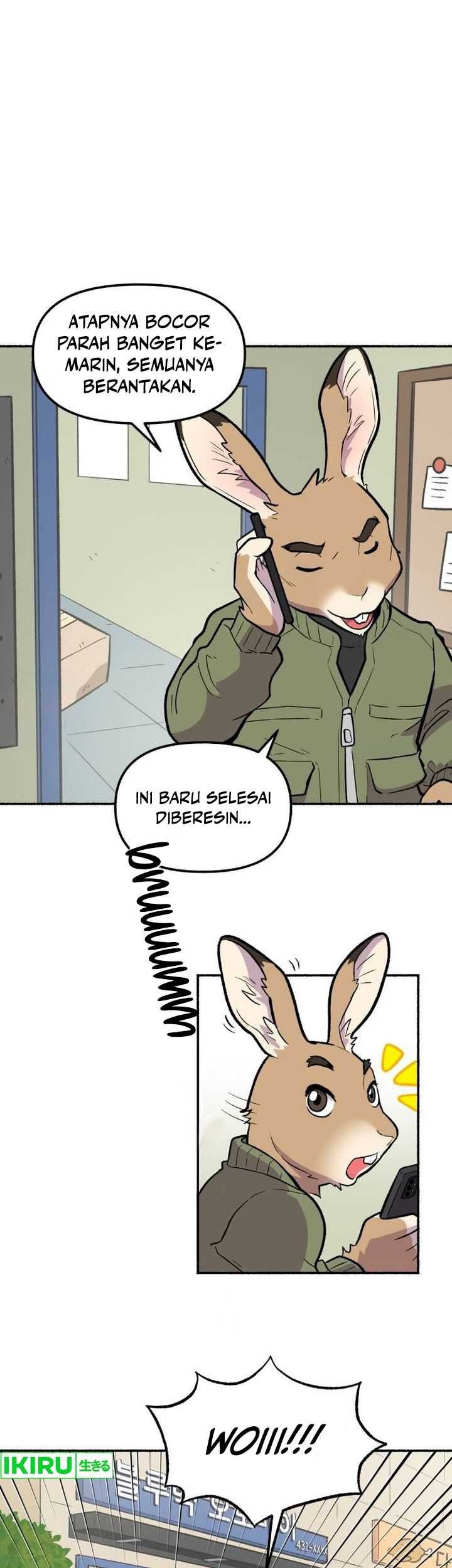 Halaman 55
