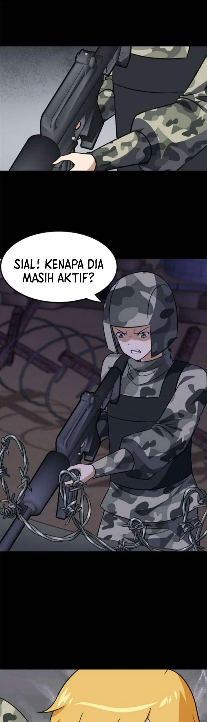 Halaman 17