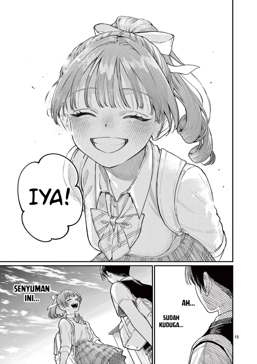 Halaman 17