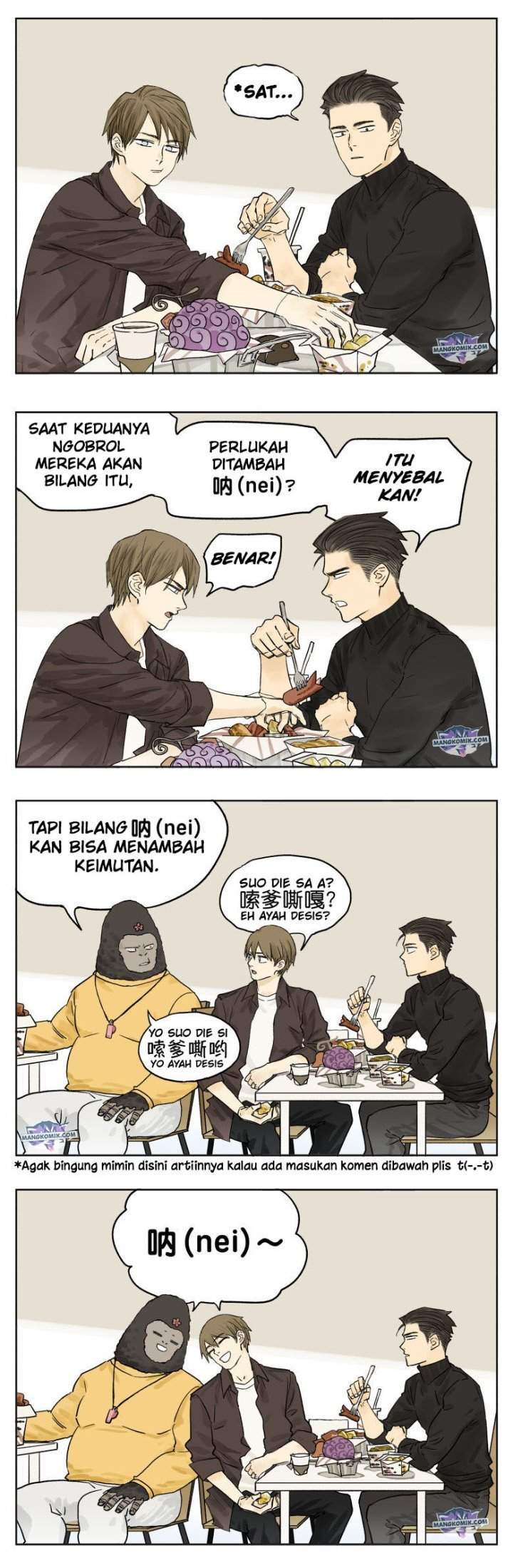 Halaman 17