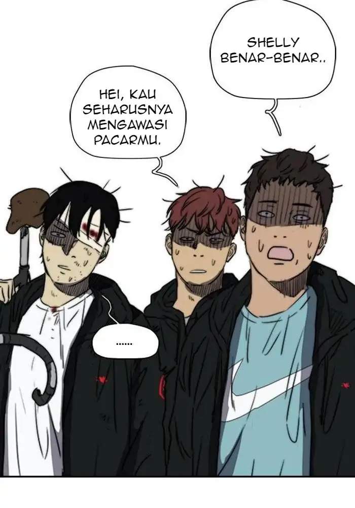 Halaman 24
