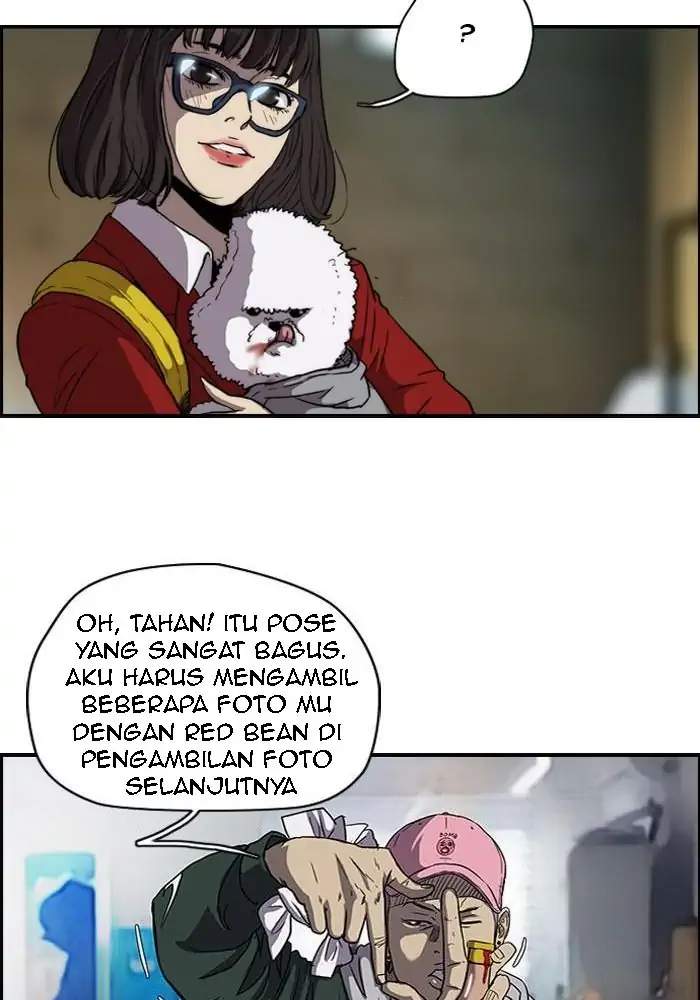 Halaman 8