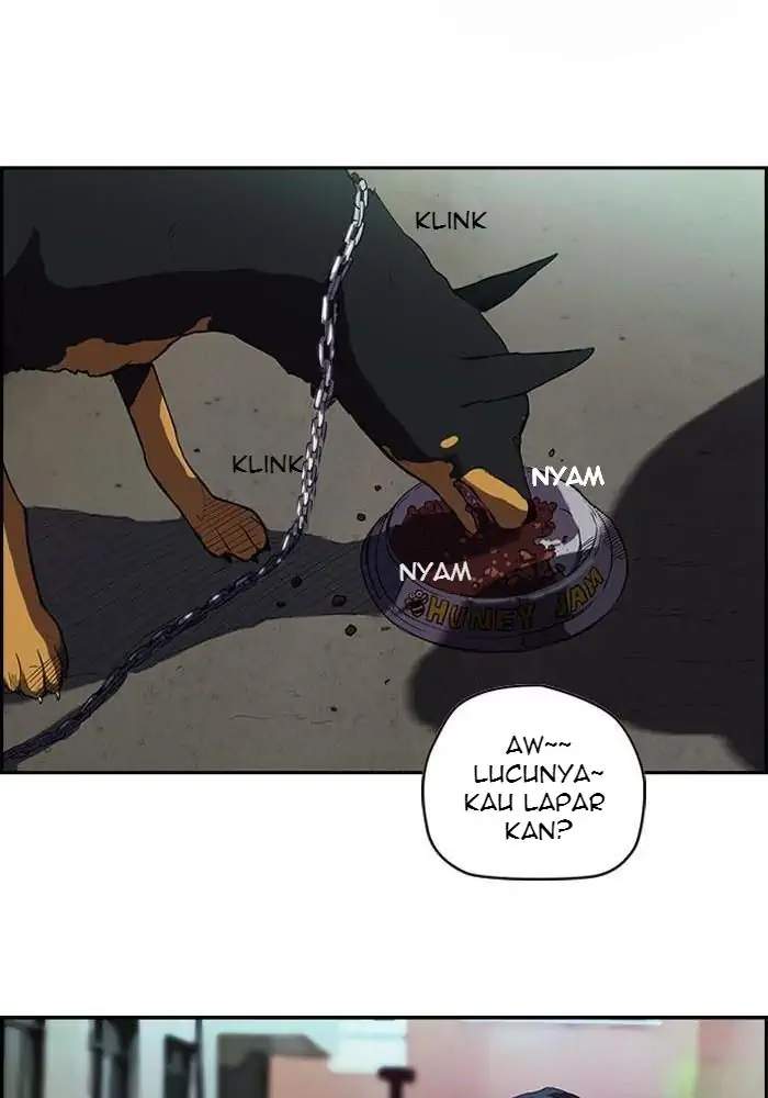 Halaman 23