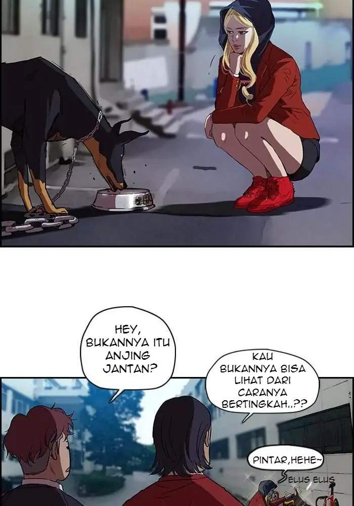 Halaman 24