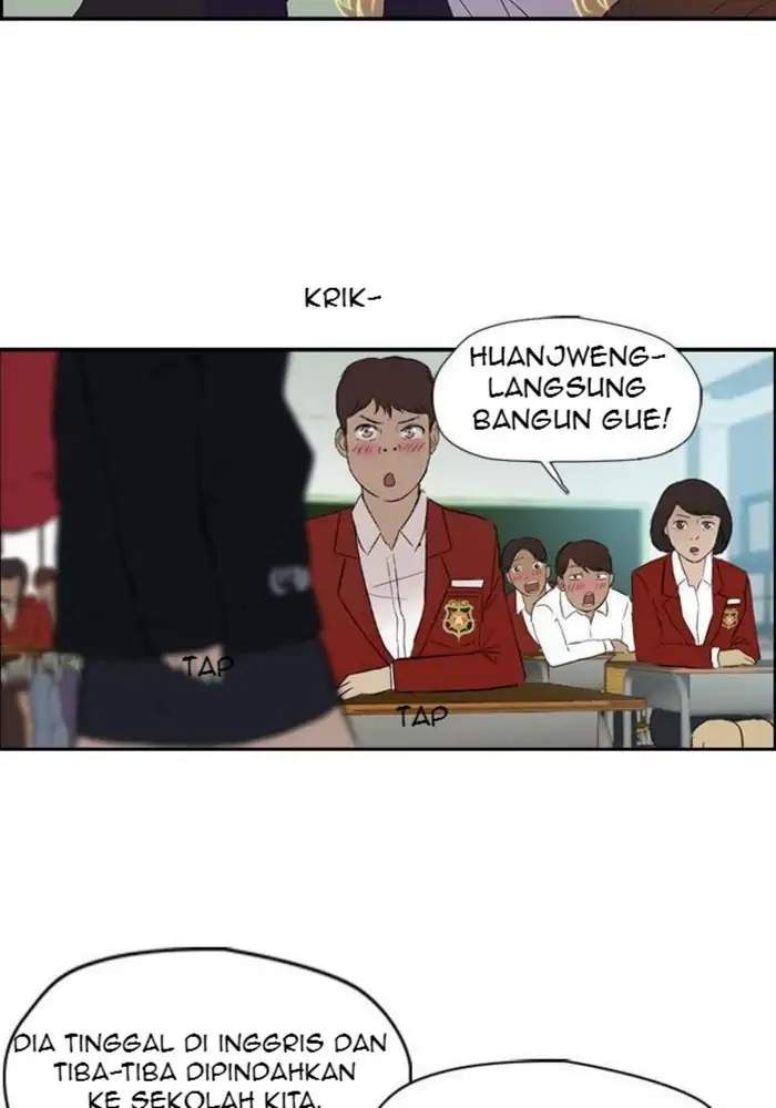 Halaman 17