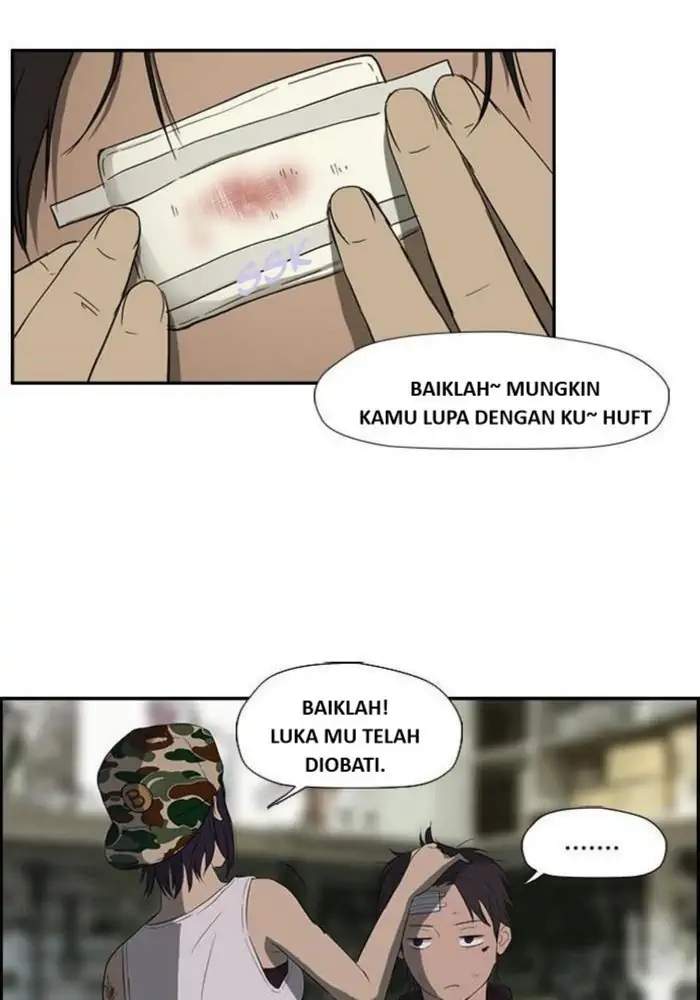 Halaman 17