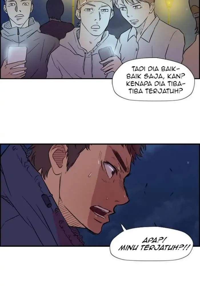 Halaman 43