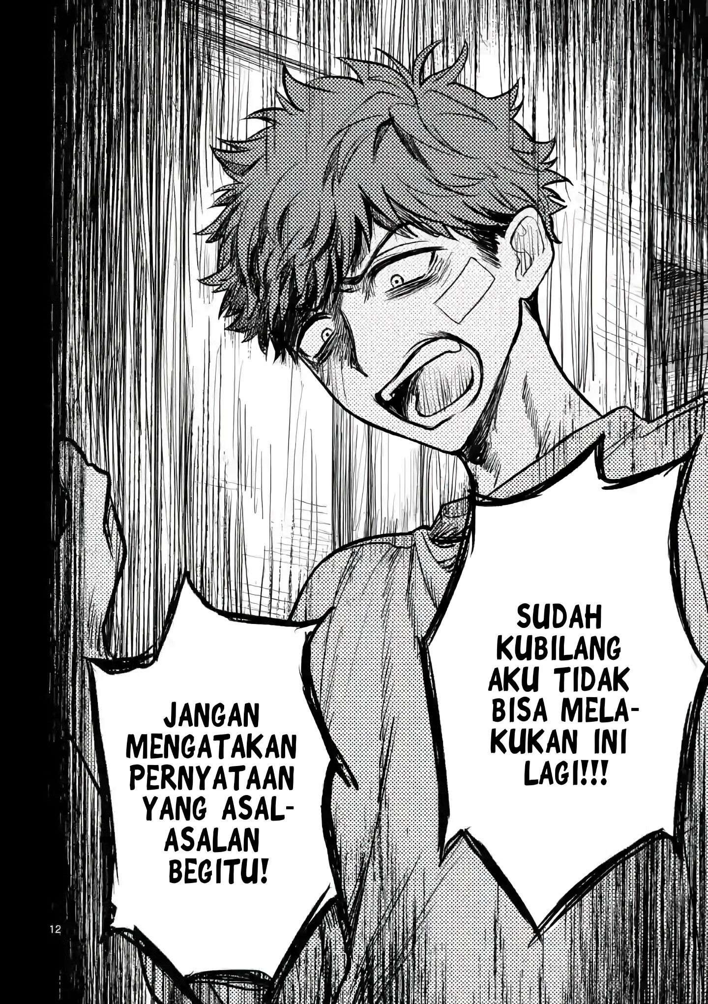 Halaman 13