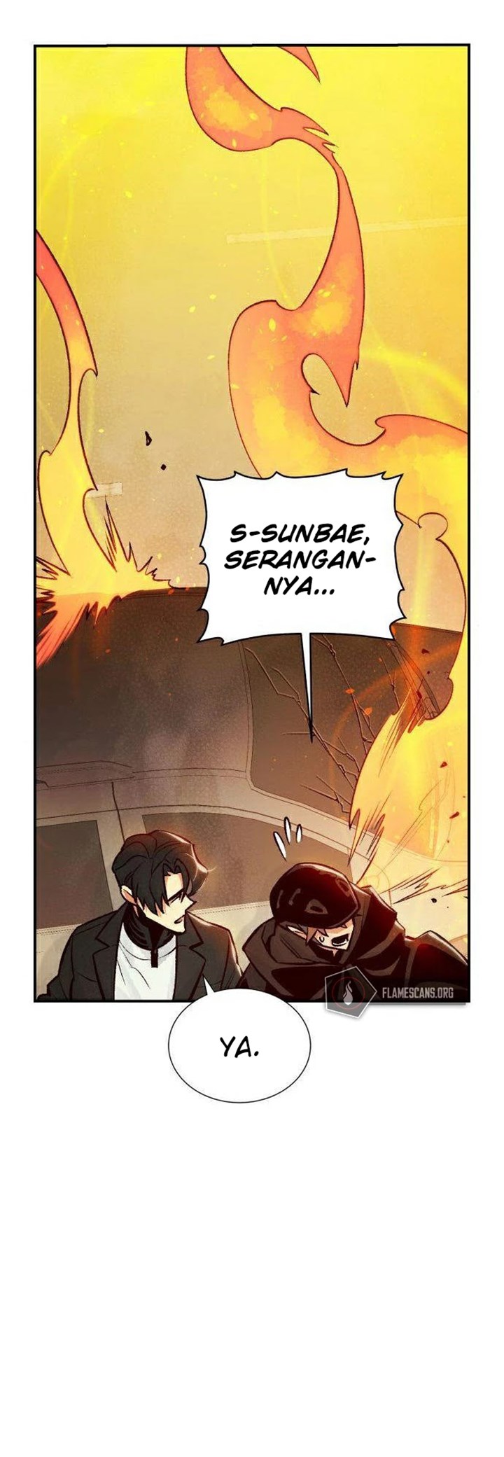 Halaman 46