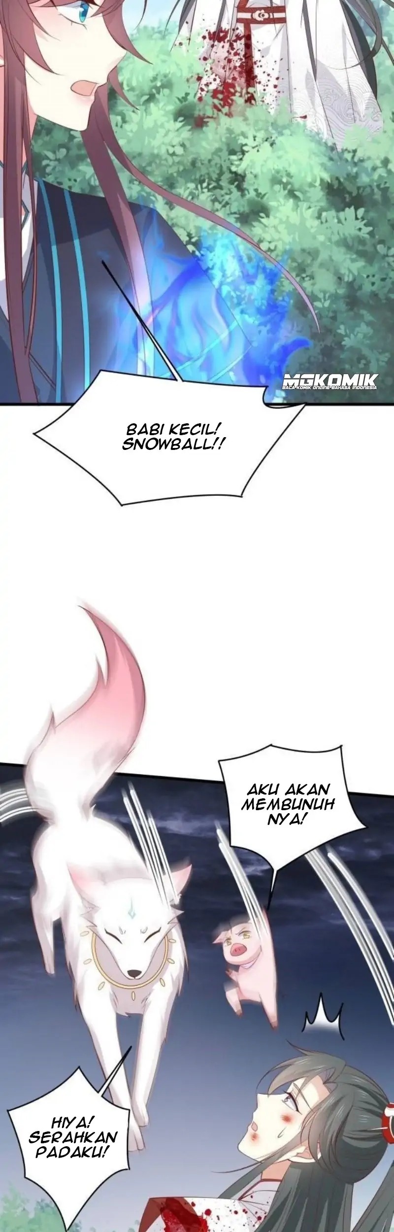Halaman 217