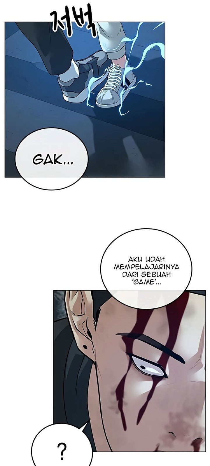 Halaman 243