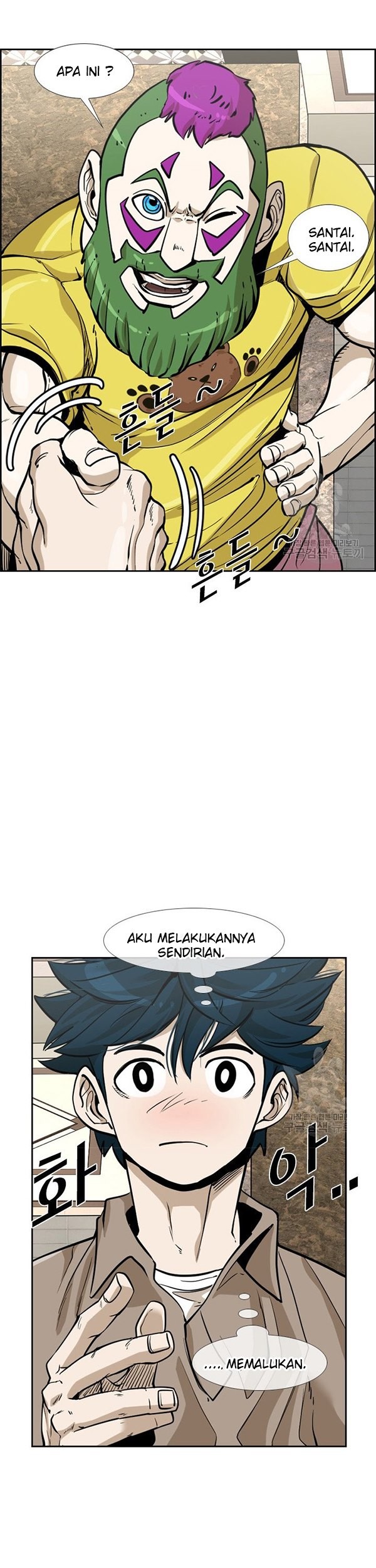 Halaman 17