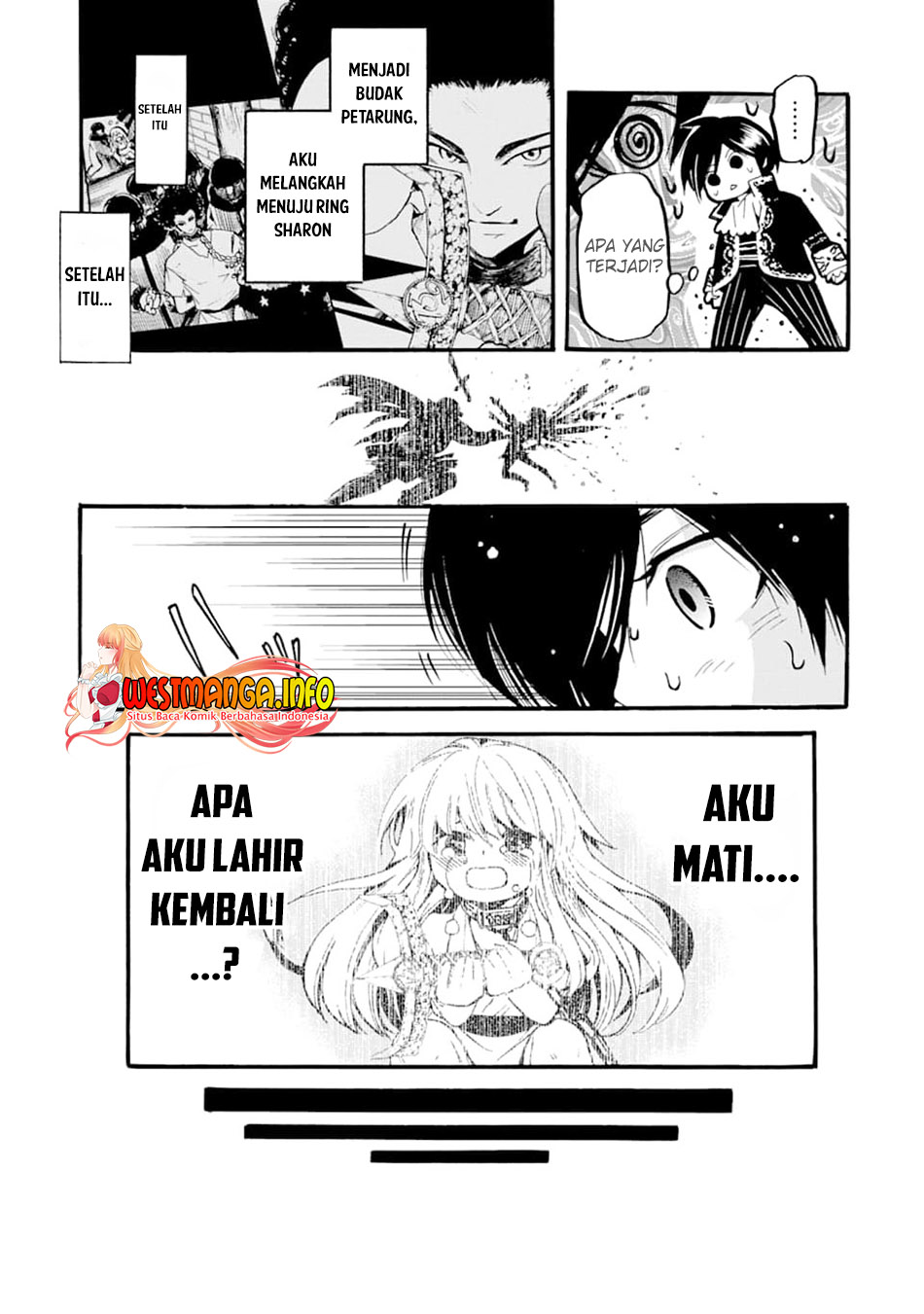 Halaman 17