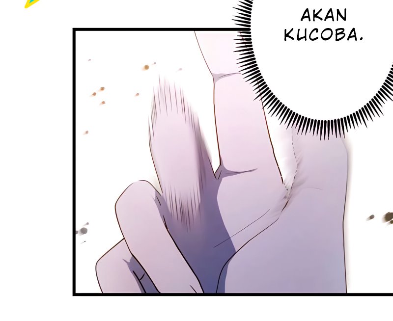 Halaman 245