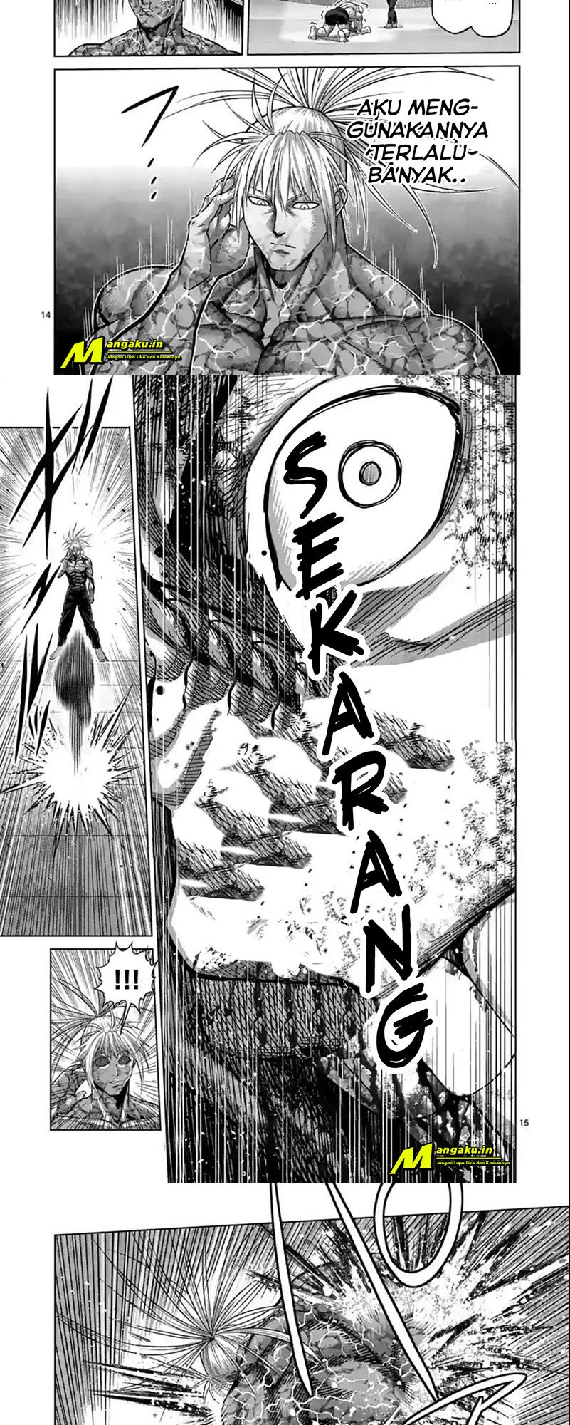 Halaman 24