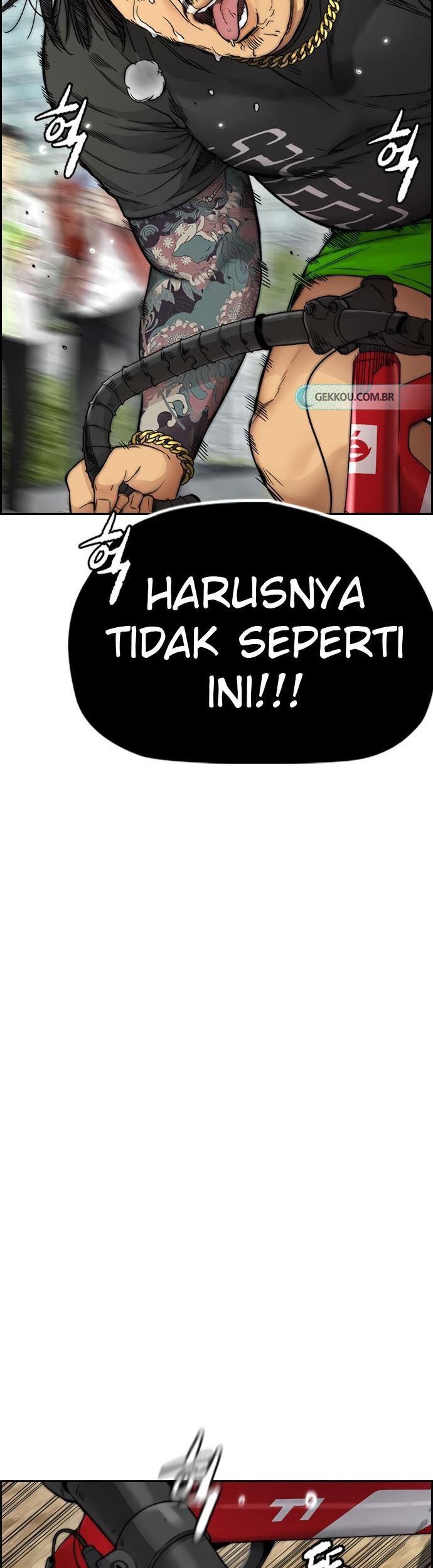 Halaman 17