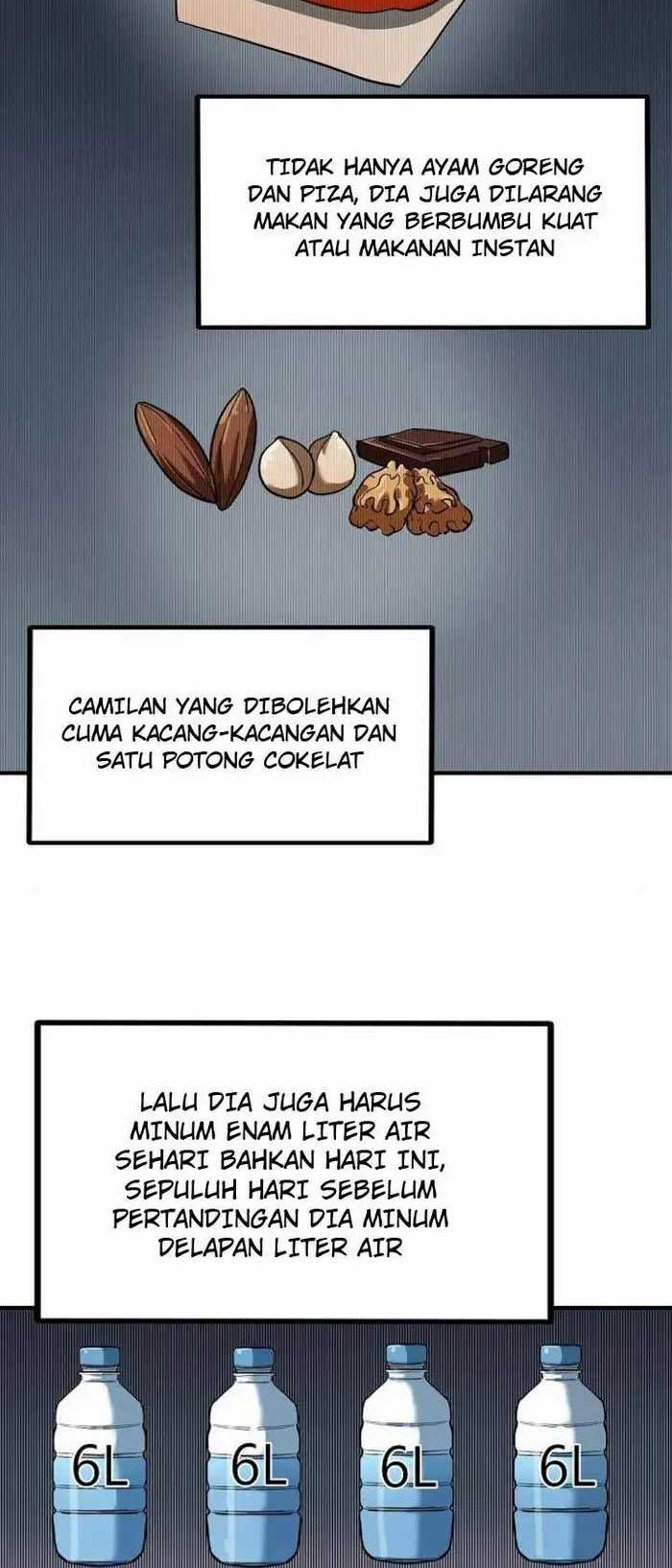 Halaman 17