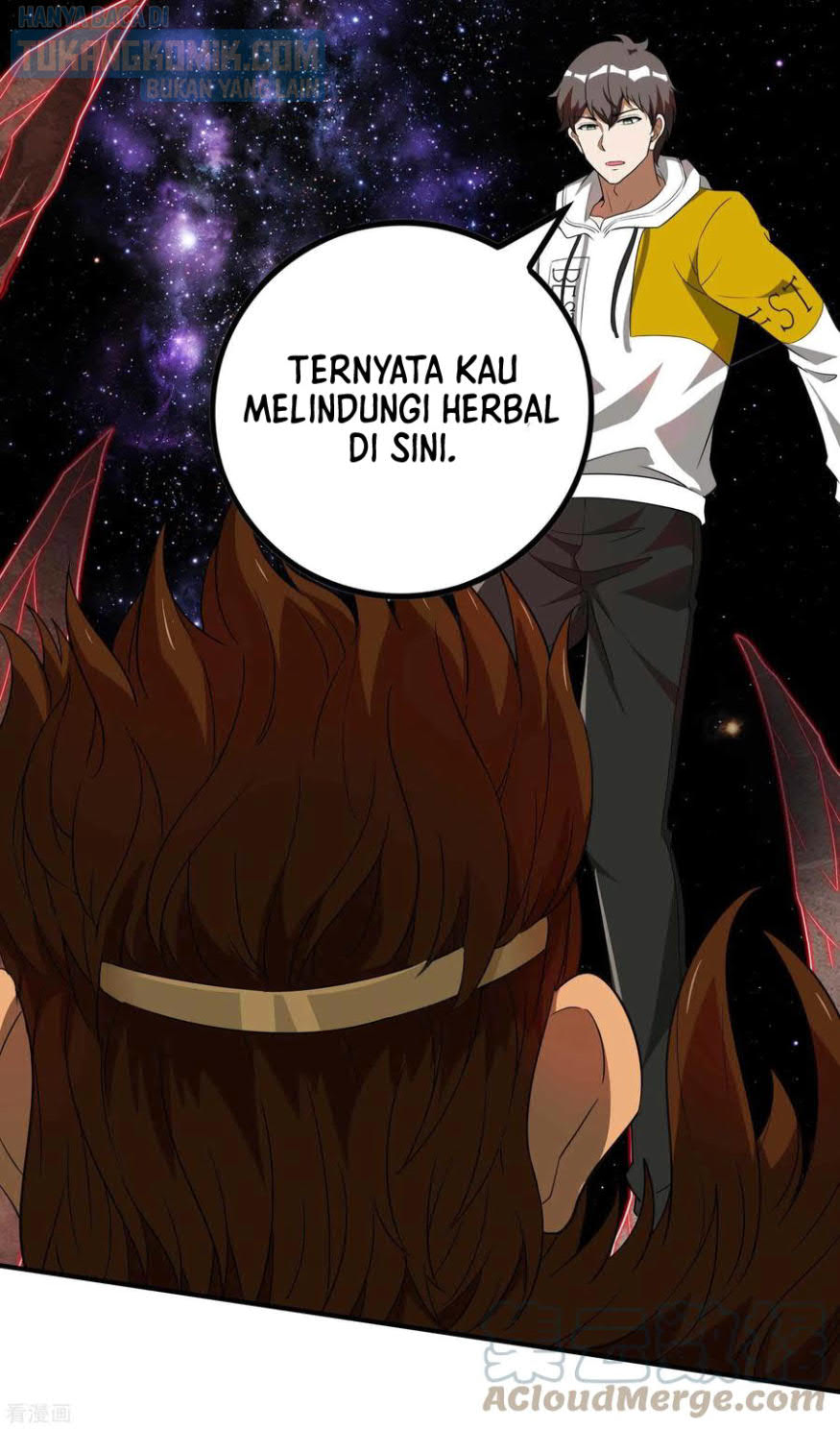 Halaman 17