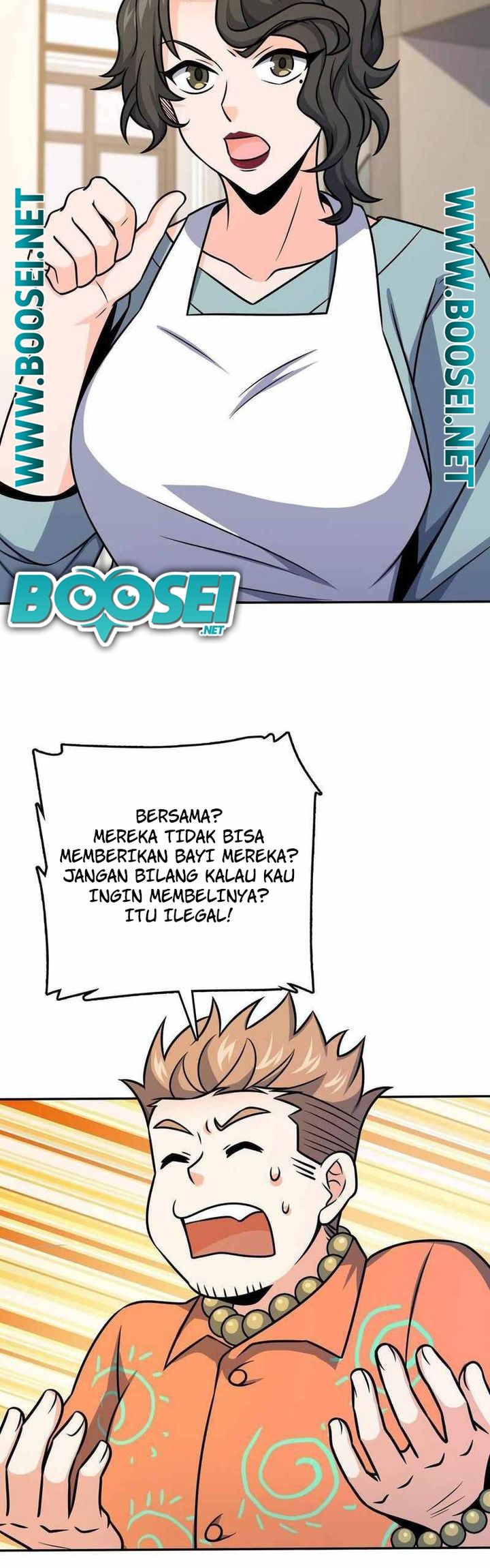 Halaman 17