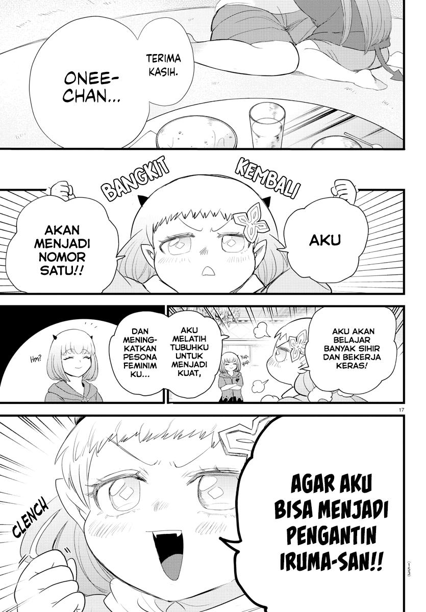 Halaman 17