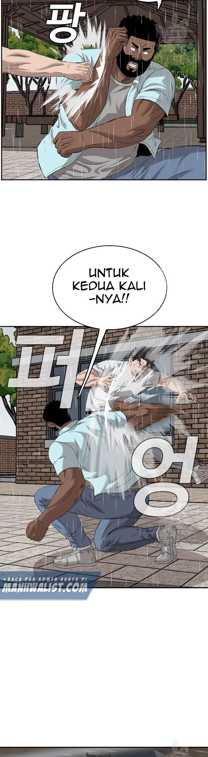 Halaman 43