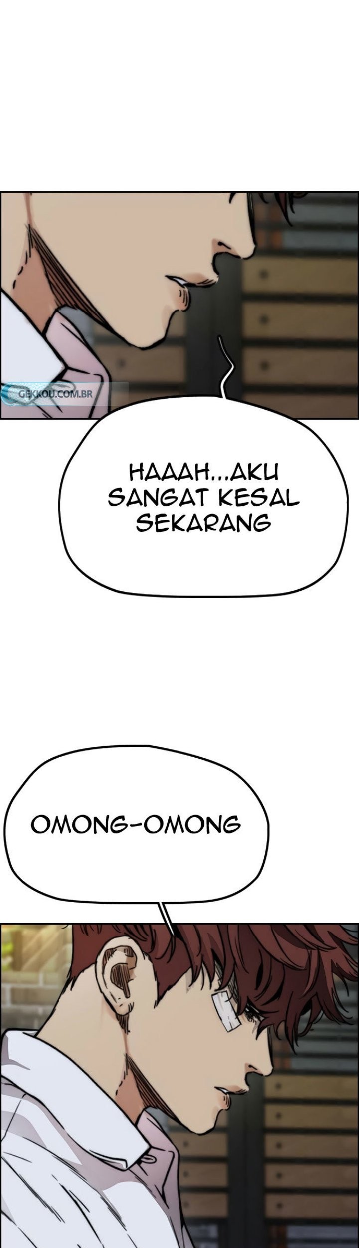 Halaman 17