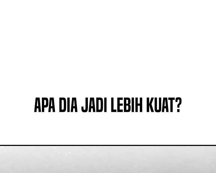 Halaman 247
