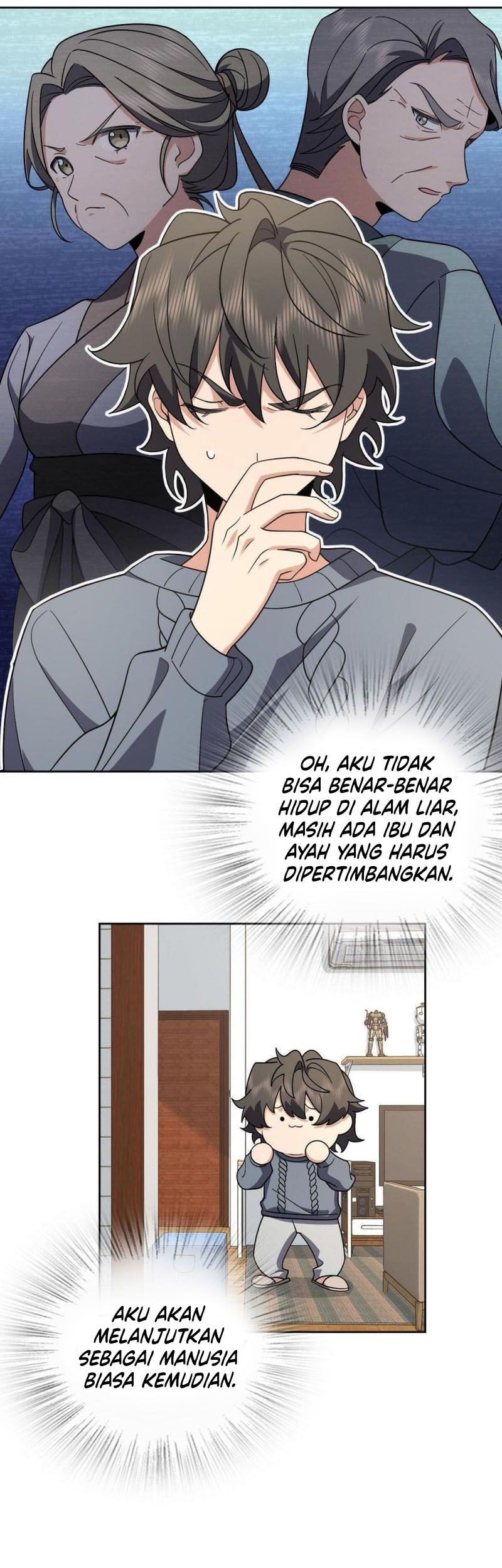 Halaman 43