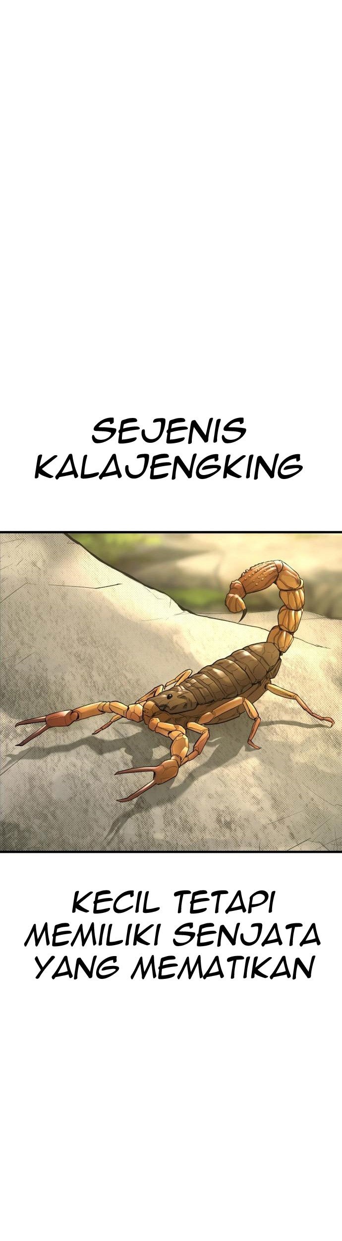 Halaman 125